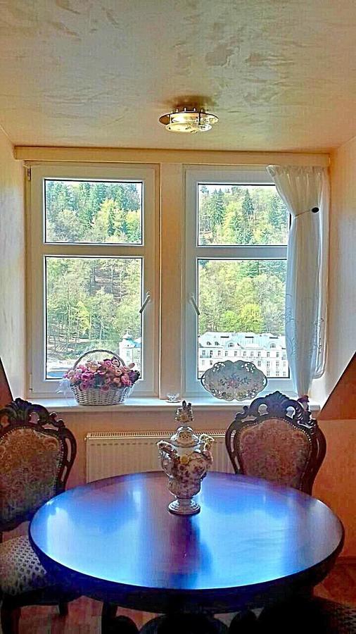 Lira 3 Apartments Карлові Вари Екстер'єр фото